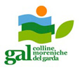 Logo GAL Colline Moreniche del Garda.